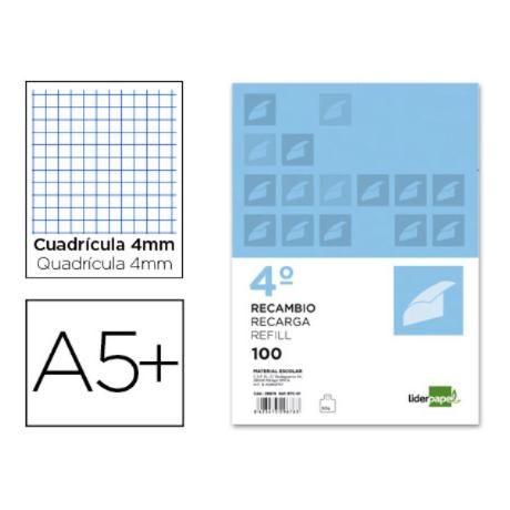 RECAMBIO LIDERPAPEL CUARTO APAISADO 100 H 2TCA-01 CUADRO 4 M