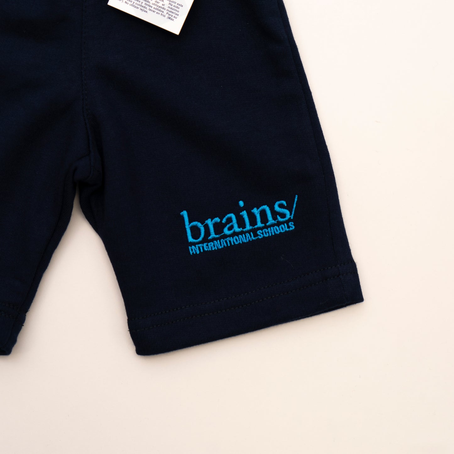 Bermuda marino Brains